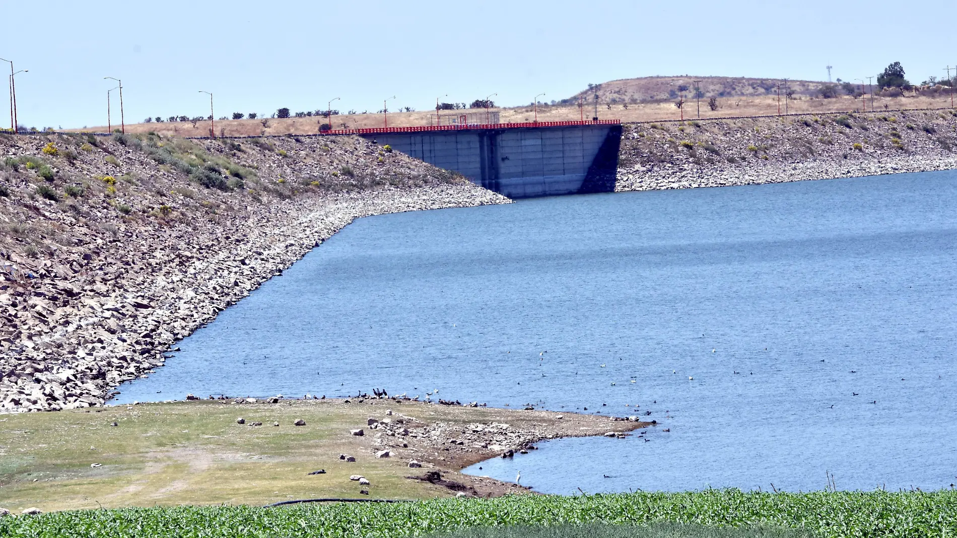 AGUA PRESA LA PURISIMA VICTOR CRUZ SOL DE IRAPUATO